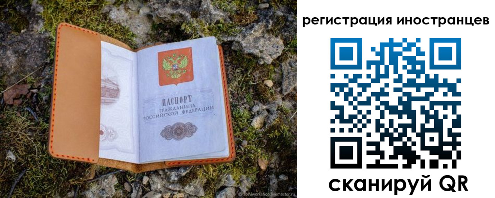 прописка паспорт в Завитинске