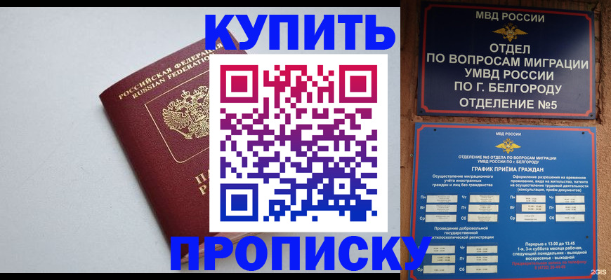 прописка регистрация в Завитинске