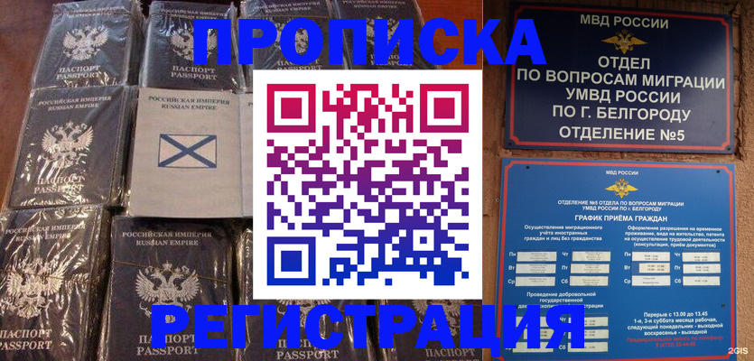 прописка гарантия в Завитинске